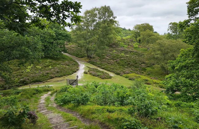 6 Person Holiday Home in Silkeborg - Foto 17