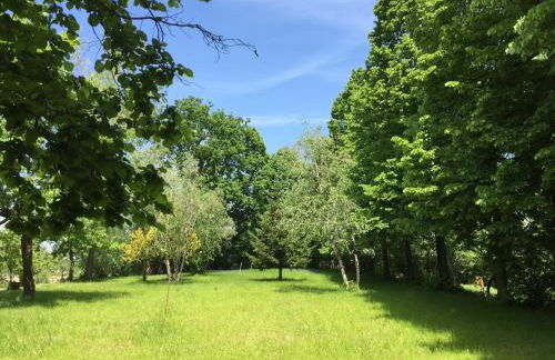 Happy hill - appartamento Quercia - natura e relax - Foto 31