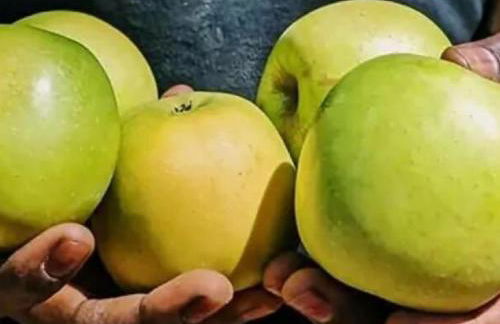 Casa con piscina privada, jardín, barbacoa, wifi y despacho en Costa Brava - ES-89-83 - Foto 30