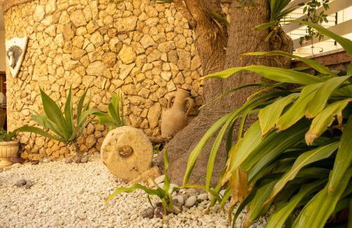 Salgari Uno - Foto 40