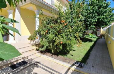 B House Verdizela - Foto 11