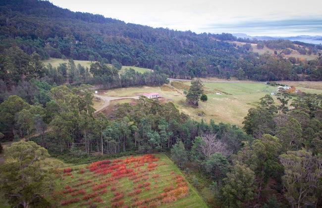 Mountain Blue Guest Accommodation - Foto 23