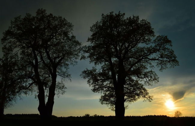 tuŻur Domki Nad Potokiem - Foto 29