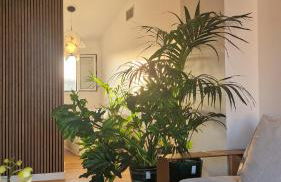 Luxe - New - Centre - 100m2 - Full clim - 3BDR - 3BTHR - 3WC - pkg - Foto 5