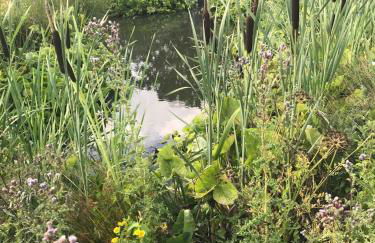 Weavers Rest - Foto 10