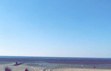 Wattenglück 3 - Foto 1