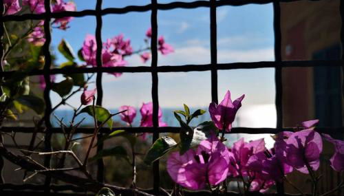 La Casa di Milly - Foto 3