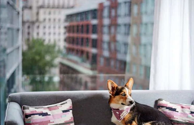 Hotel Monville - Foto 45