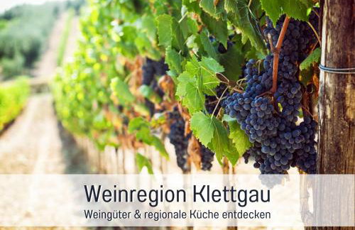 Stadtdomizil Ziegelfeld - Ruhig & Zentral, 65" TV, Südbalkon, vollausgestattete Küche, Altstadt fußläufig, Bahnhof 5-10 Min, Tiefgarage im Haus - Foto 44