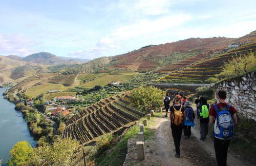 Douro Yacht Charter & Bungalows - Foto 37