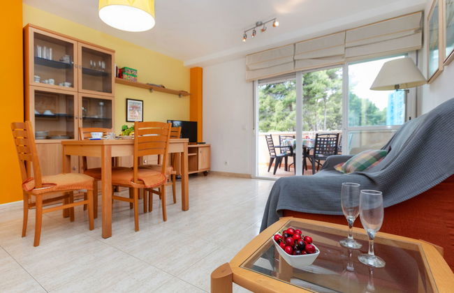 Montserrada - Foto 12