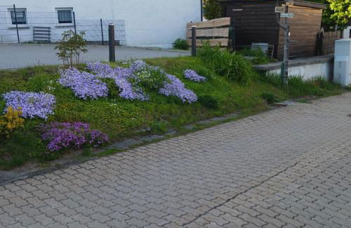 Apartments - Lehmanns Ferienwohnungen - Foto 63