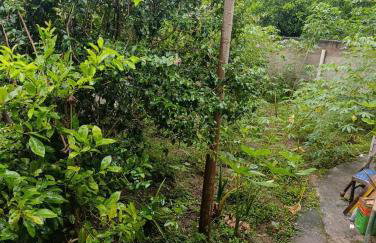 Recanto do Açai - Foto 25