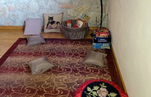 Τα πέτρινα στο Σκεπαστό - Photo 24