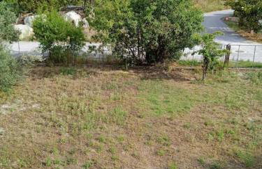 The Sunny House - Photo 14