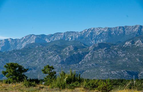 Villa Macanovi dvori with private pool - Photo 39