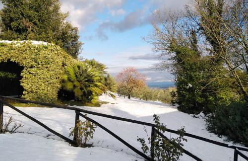 Locanda Rosati - Foto 78