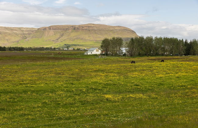 South Central Apartments - Foto 41