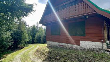 Baranówka - Foto 2, Garden, Garden view