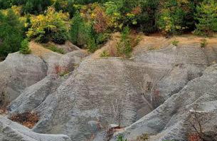 Apartments Šterna - Foto 37