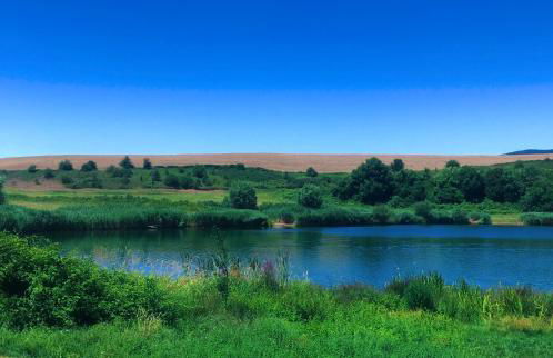 La terrazza - Foto 40