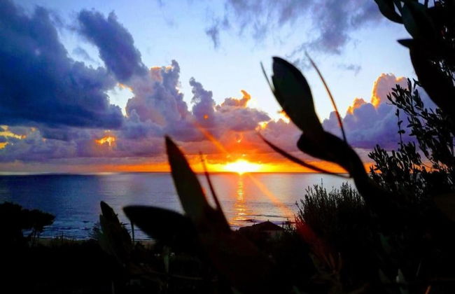 Pet-friendly Getaway - Foto 35