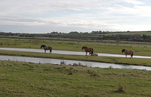 O loft des Croisiens - Foto 11