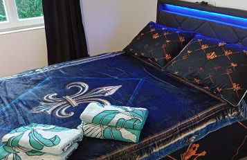 Beauval Saint Aignan,châteaux de la Loire gîte Le Royaume Sauvage - Foto 2