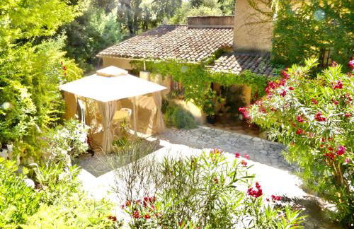 Les Mimosas - Foto 3