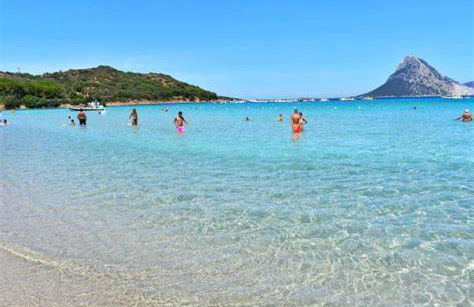 L'oasi di Simone e Rossella - Foto 10