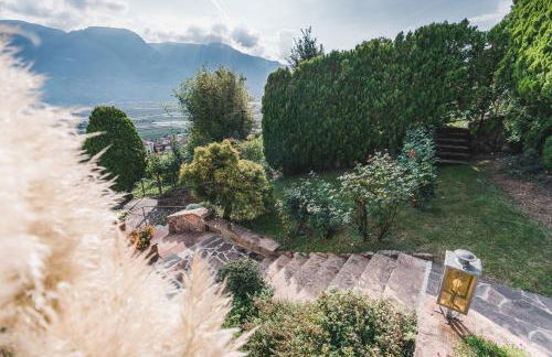 Der Ruibacher - Foto 6