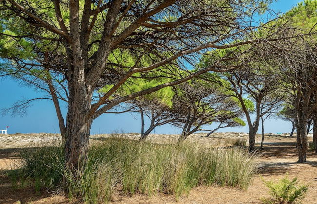 Le Dimore di Budoni - Foto 26