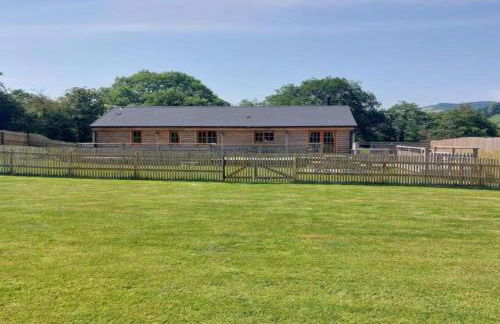 Owl Cabin - Photo 20