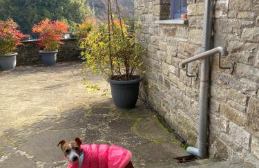 Papigo Stonehouse - Photo 13