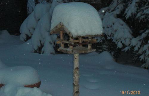 Ferienwohnung Kluge - Foto 18