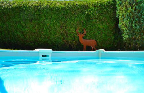 Le Gîte de l'Ecureuil - Foto 32