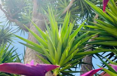 VillaM with heated pool, panoramic view, sea - Foto 14