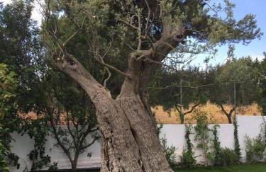 Villa Paolo - Rosa Marina Ostuni - Foto 15