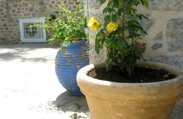 Kiki's Houses Vlichos - Foto 9