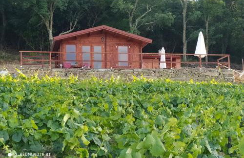 Casa das Vinhas Velhas by Casa do Poço - Foto 20