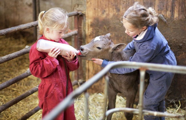 Chalet in Netherlands With Scenic Meadow Views - Photo 19