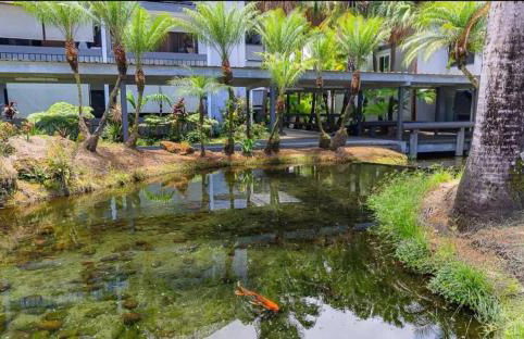 Polynesian Koi Pond Gardens Condo in Hilo w pool - Foto 26