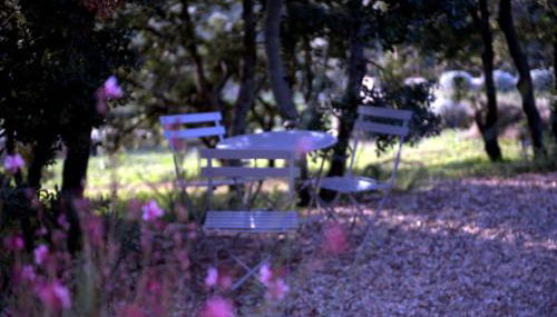 Les Terrasses - Gordes - Photo 5, Garden