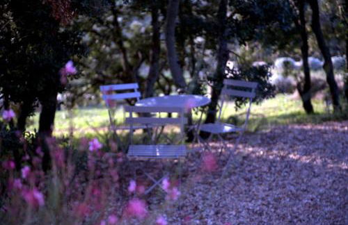 Les Terrasses - Gordes - Photo 5