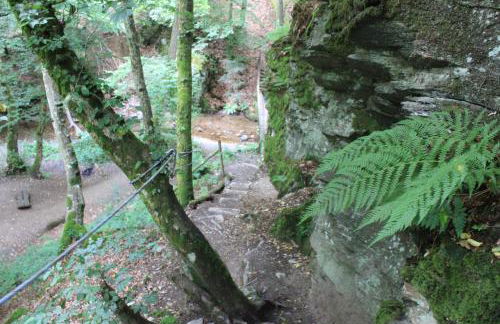 Ferienhaus Däschinger - Foto 74