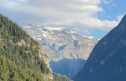 Champagny Les Alpages - Foto 19