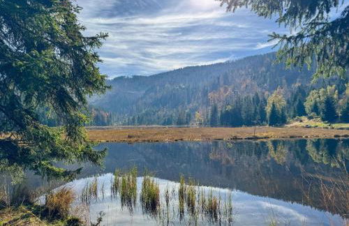 Ferienwohnung Osser Woid - Foto 24