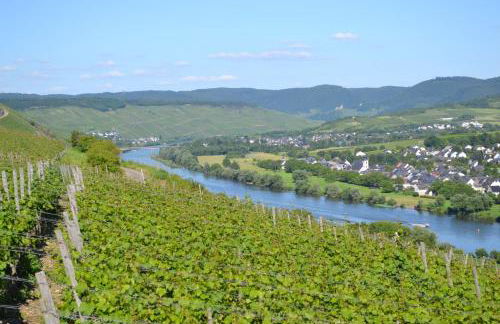 Ferienhaus Mathy - Foto 27