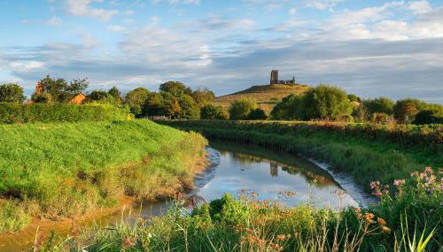 Dragonfly Two - Foto 2