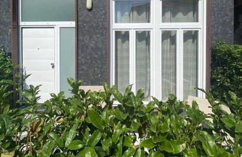 Le bougainvillea 1 - Foto 25